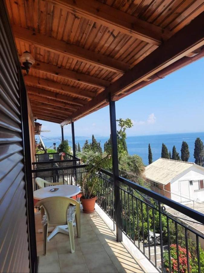 Emilios See View Apartment Barbáti Kültér fotó